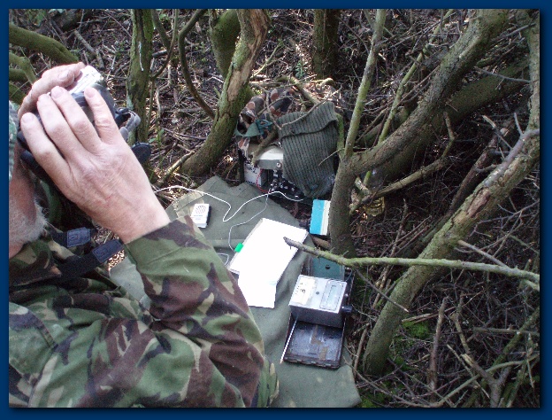 600x449 pixels (177K)